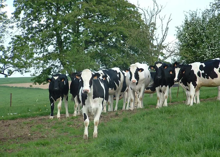 Battery Valley Farm